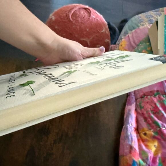 Book of the Month We are the Brennans Hardback Book Tracey Lange - Picture 3 of 4